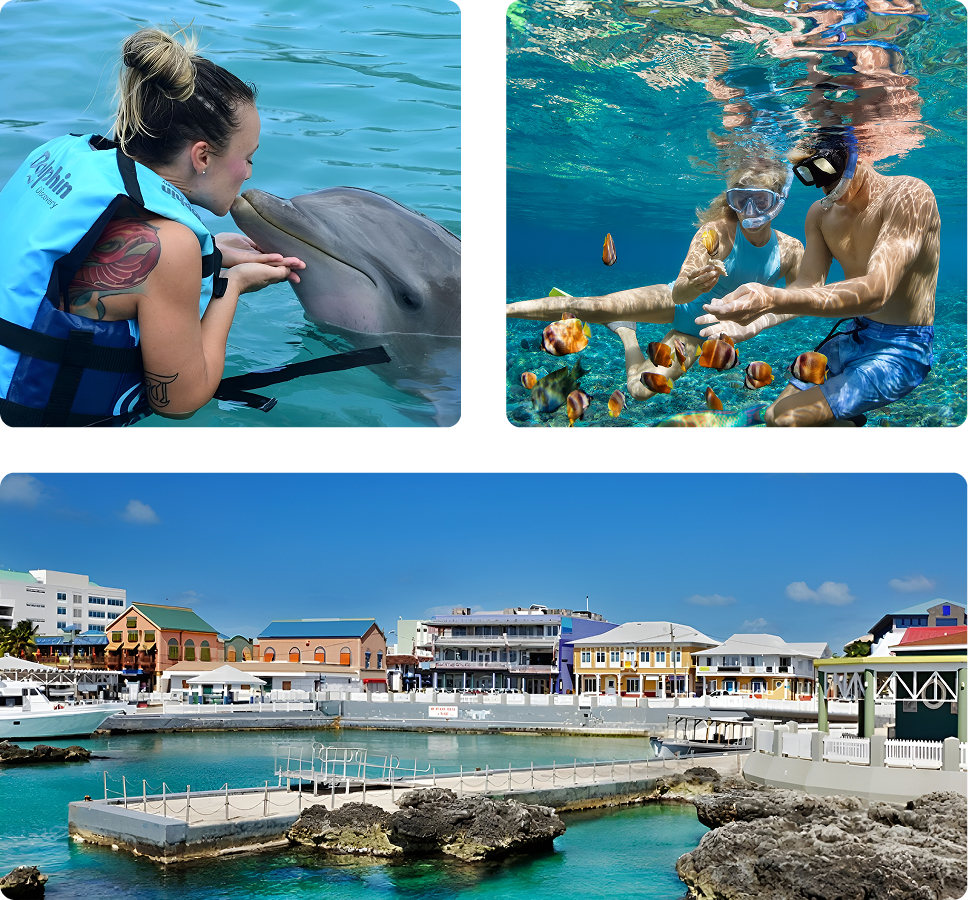 Dolphin kiss, snorkeling, colorful waterfront buildings.