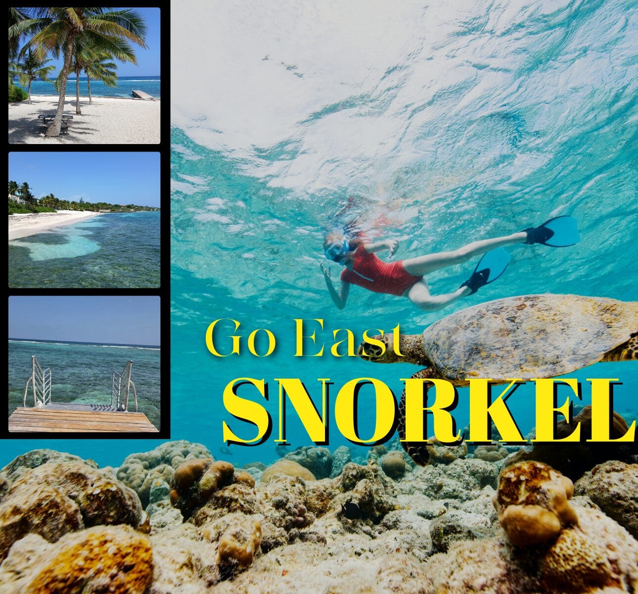Snorkeler and turtle underwater, tropical beach scenes.